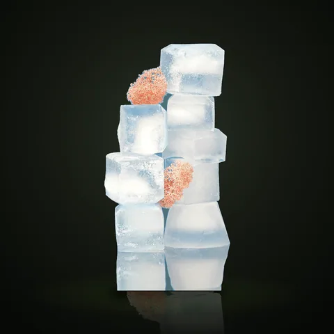 Hielo Funda Completa